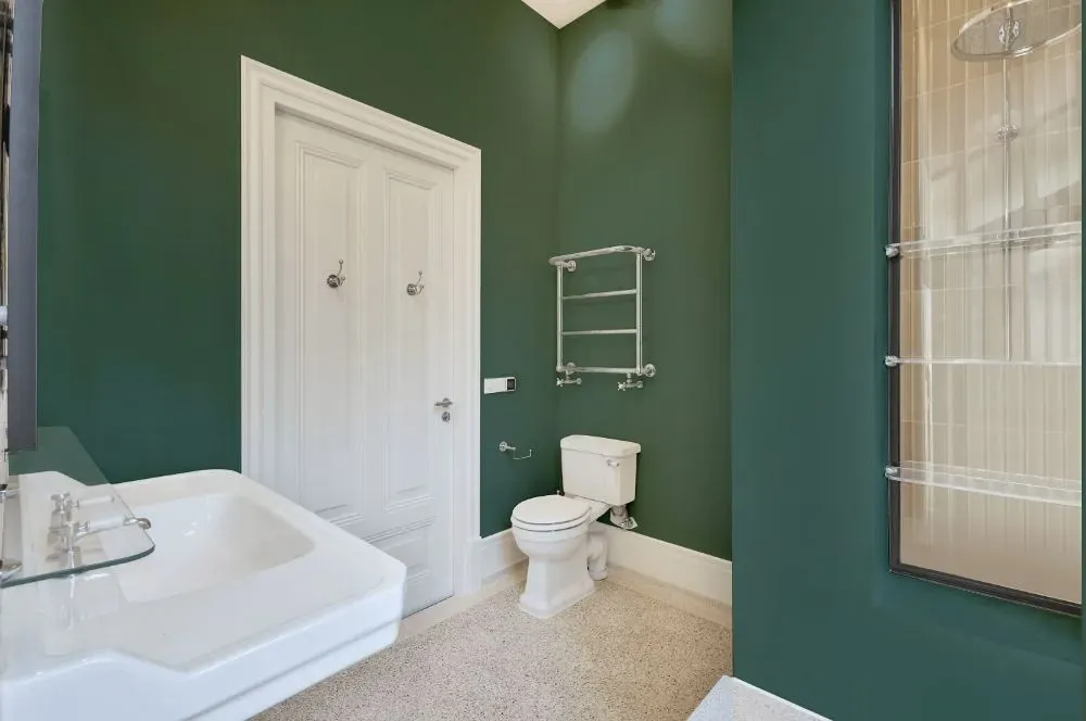 Behr Forest Edge bathroom