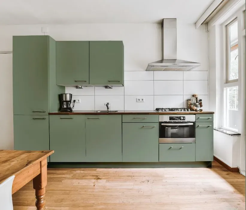 Behr Forest Path kitchen cabinets