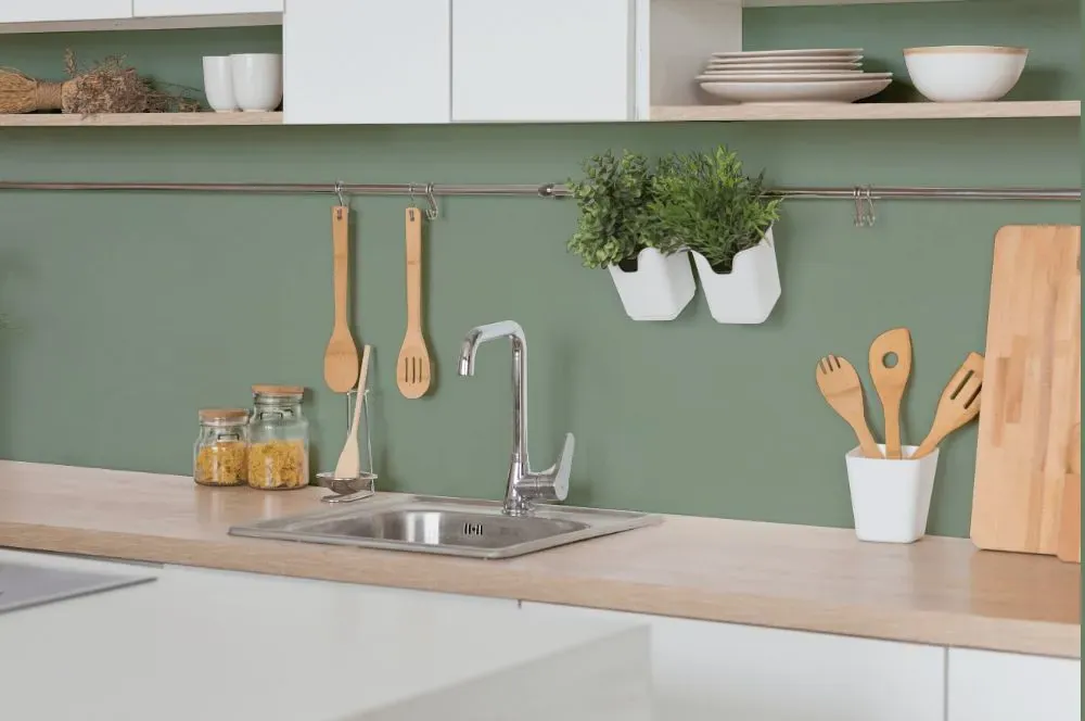 Behr Forest Path kitchen backsplash