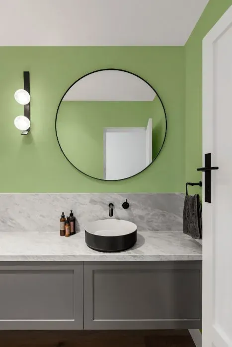 Behr Four Leaf Clover minimalist bathroom