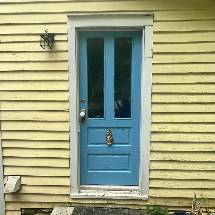 Behr M490-4 front door 