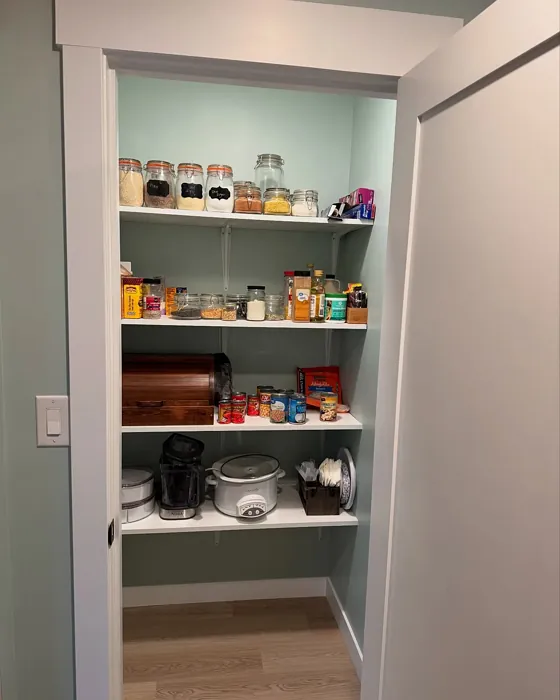 Behr Frosted Jade utility room 