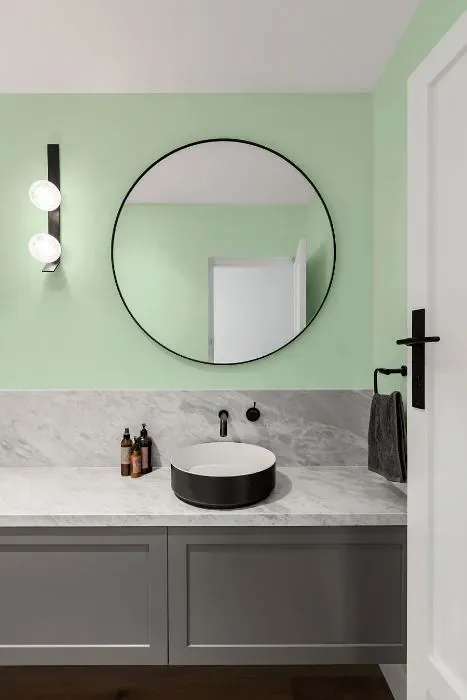 Behr Frostini minimalist bathroom