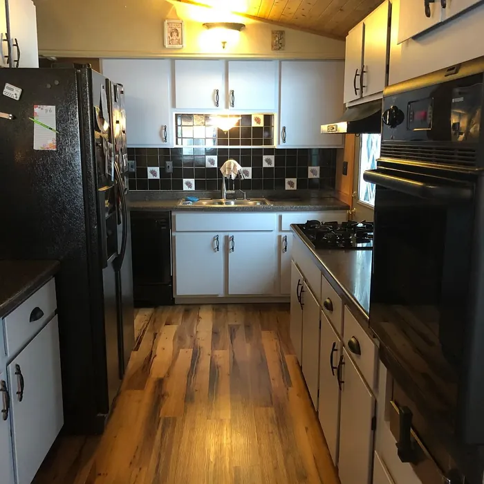 Behr Galactic Tint kitchen cabinets color