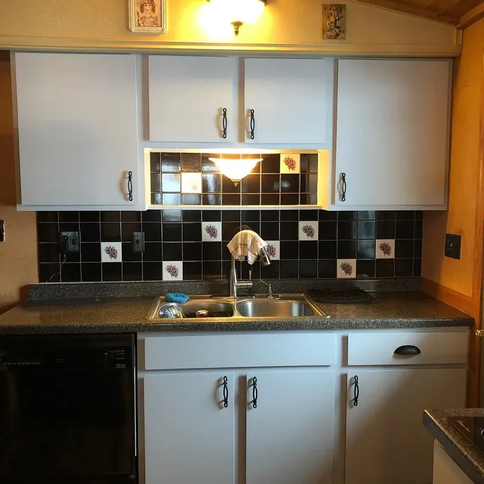 Behr Galactic Tint kitchen cabinets color review