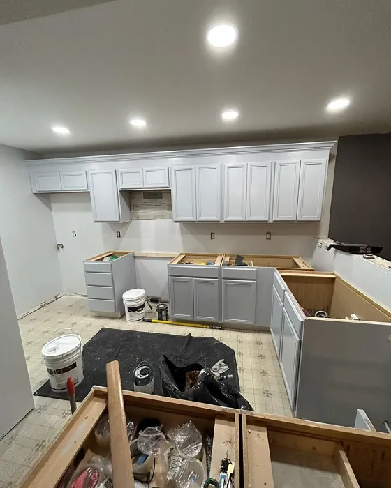 Behr Galactic Tint kitchen cabinets paint