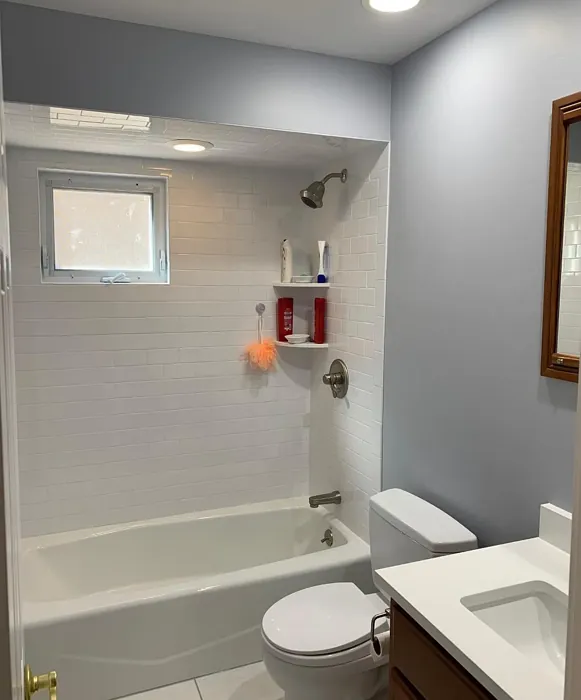 Behr Galactic Tint bathroom picture