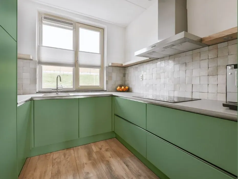 Behr Gallery Green small kitchen cabinets