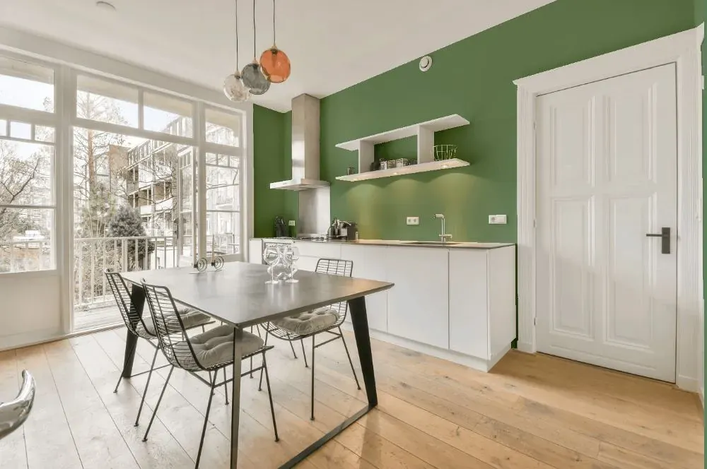 Behr Gallery Green kitchen review