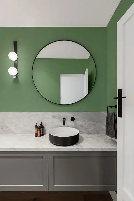 Behr Gallery Green minimalist bathroom