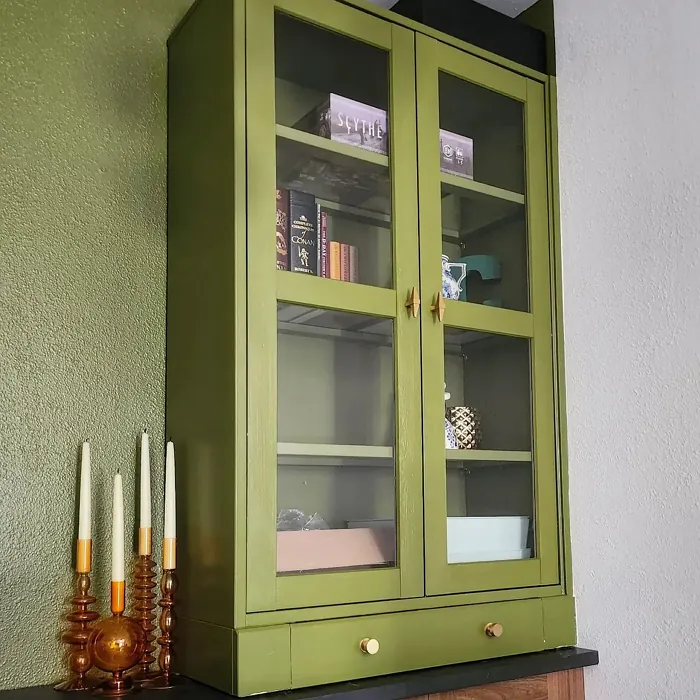 Behr Garnish painted cabinets 