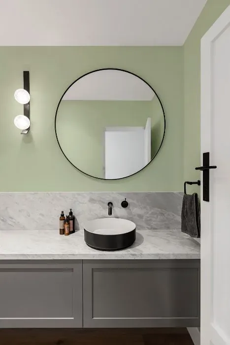 Behr Glade Green minimalist bathroom