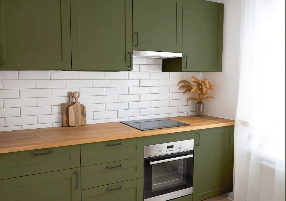 Behr Global Green kitchen cabinets