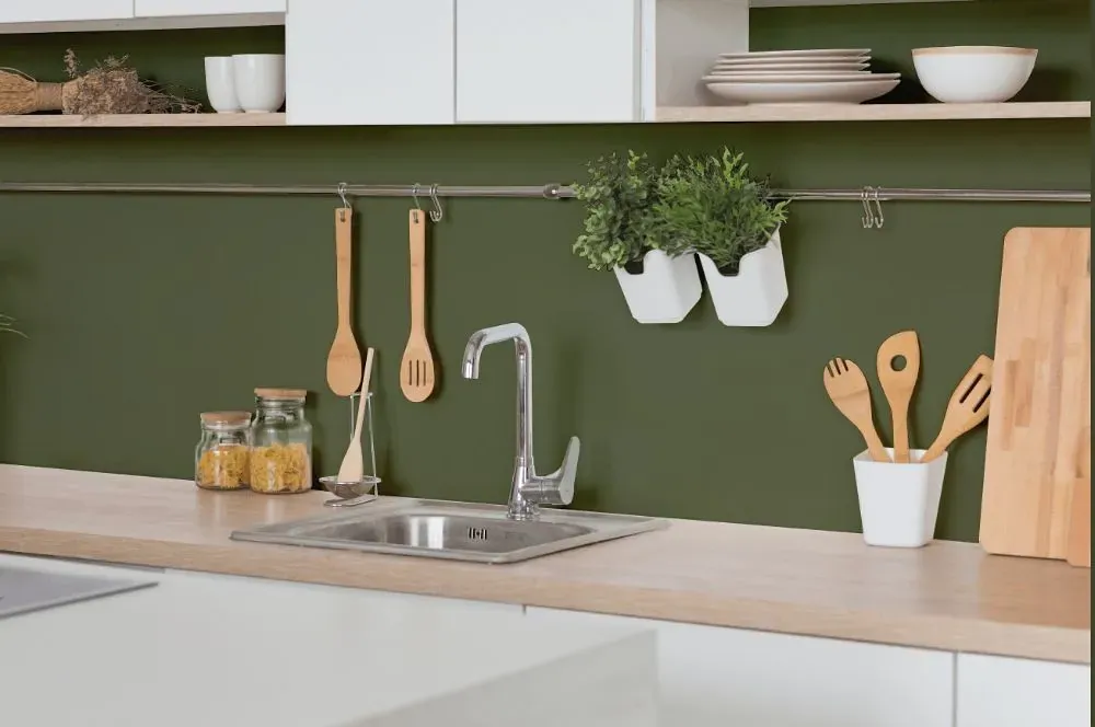 Behr Global Green kitchen backsplash