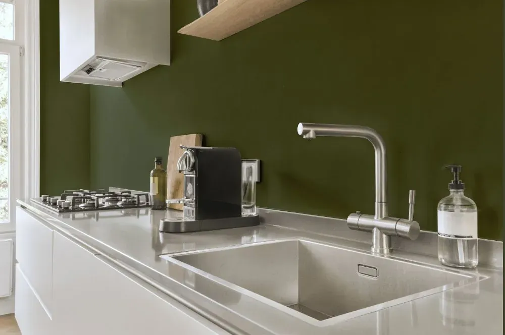 Behr Global Green kitchen painted backsplash