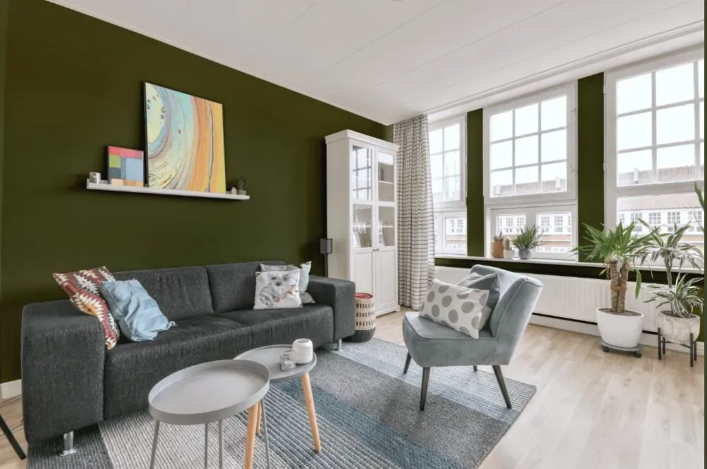 Behr Global Green living room walls