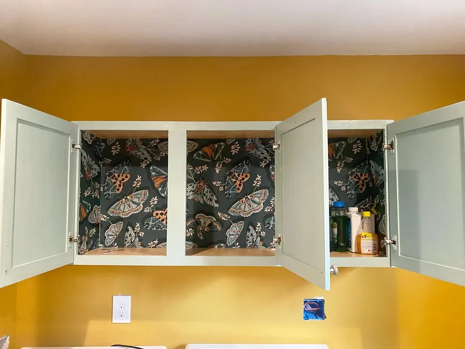 Behr Golden Aura kitchen color