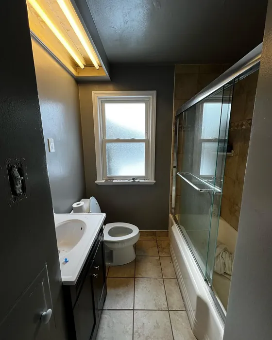 Behr Granite Boulder bathroom 