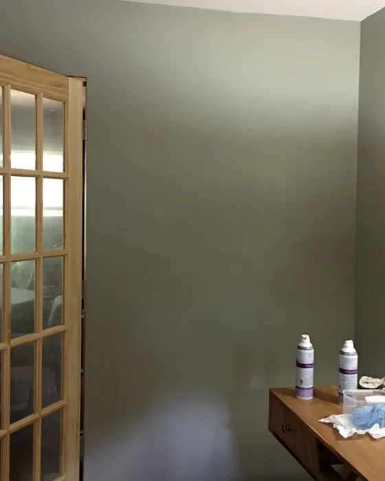 Behr Granite Boulder wall paint 