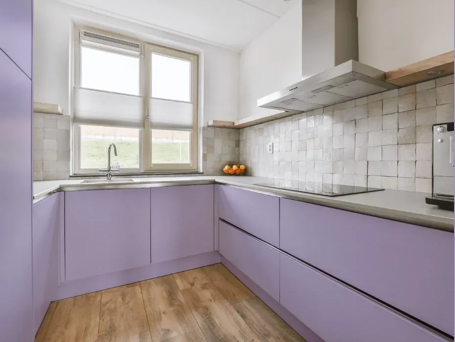 Behr Grape Hyacinth small kitchen cabinets