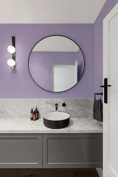 Behr Grape Hyacinth minimalist bathroom