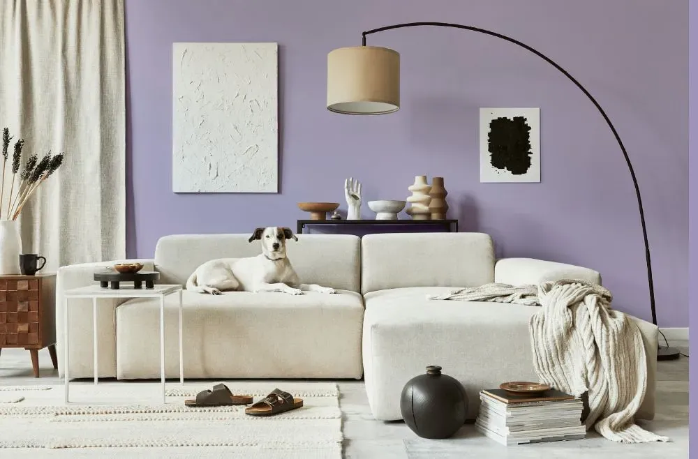 Behr Grape Hyacinth cozy living room