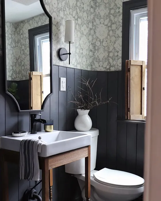 Behr Graphic Charcoal bathroom color review