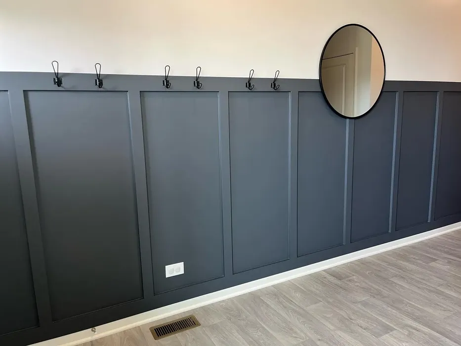 Behr Graphic Charcoal wall panelling color