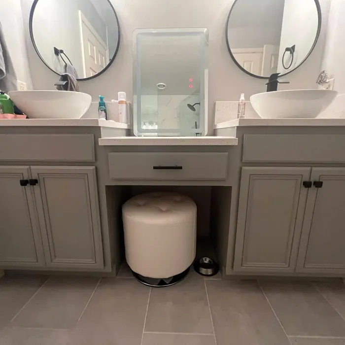 Behr Great Graphite bathroom vanity 