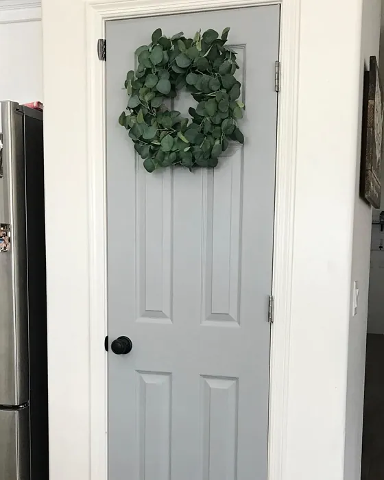 Behr Great Graphite door color