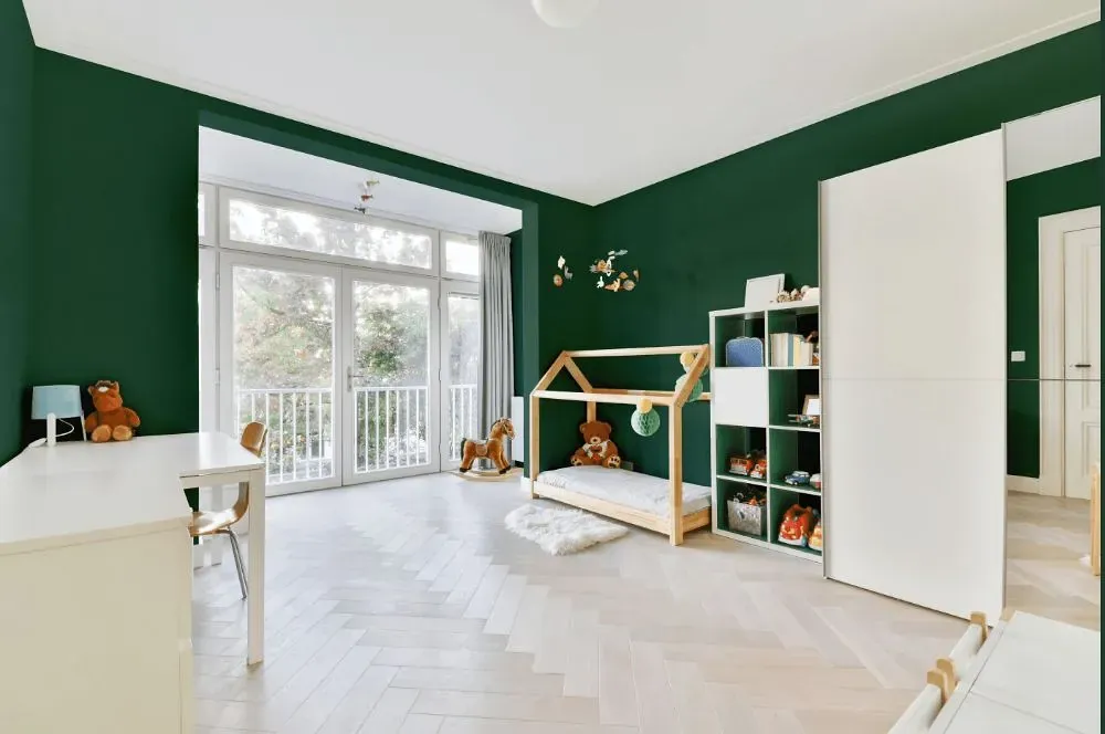 Behr Green Agate kidsroom interior, children's room