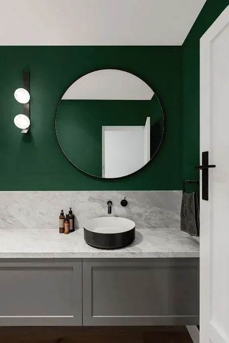 Behr Green Agate minimalist bathroom
