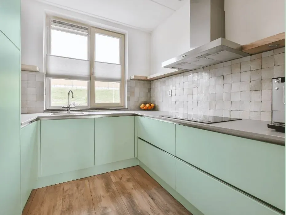 Behr Green Aqua small kitchen cabinets