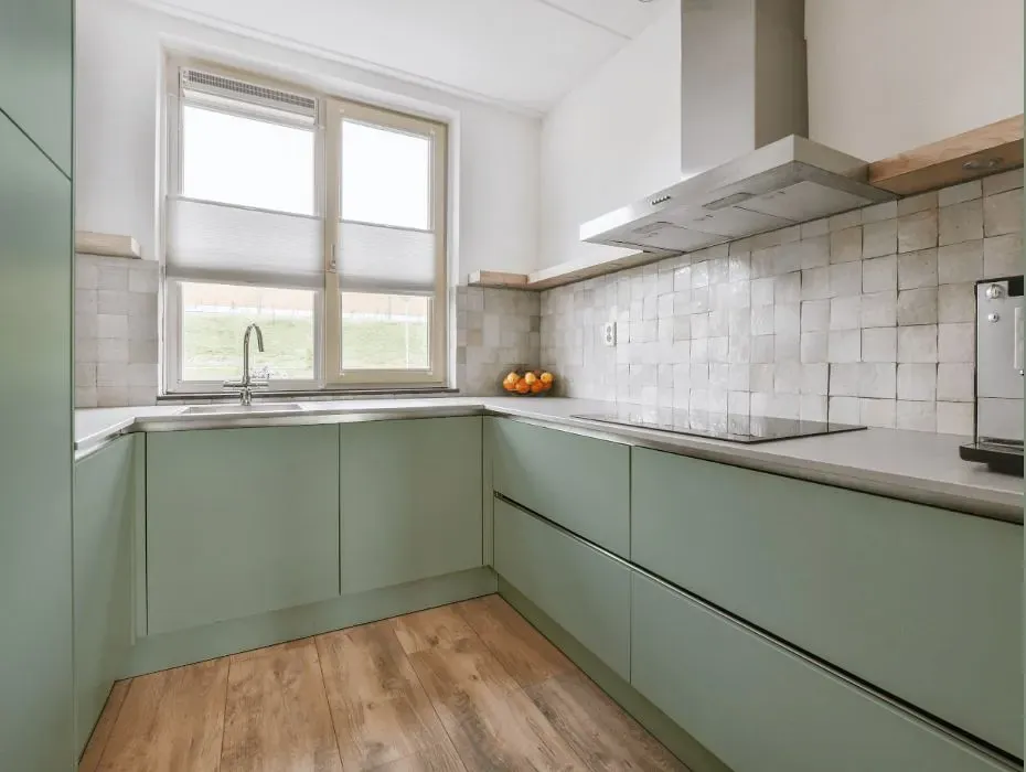 Behr Green Balsam small kitchen cabinets
