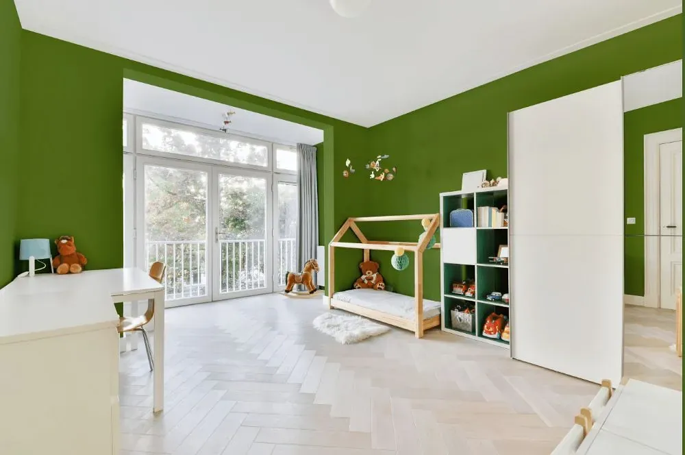 Behr Green Dynasty kidsroom interior, children's room
