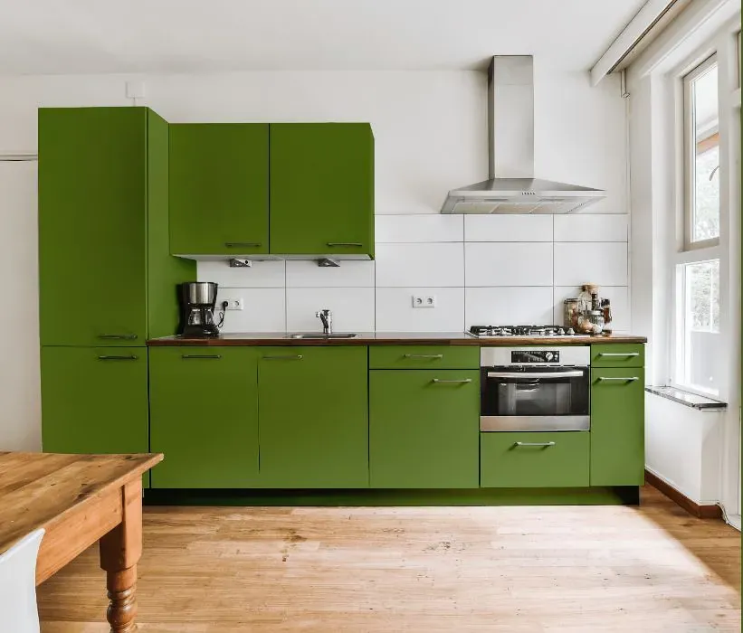 Behr Green Dynasty kitchen cabinets