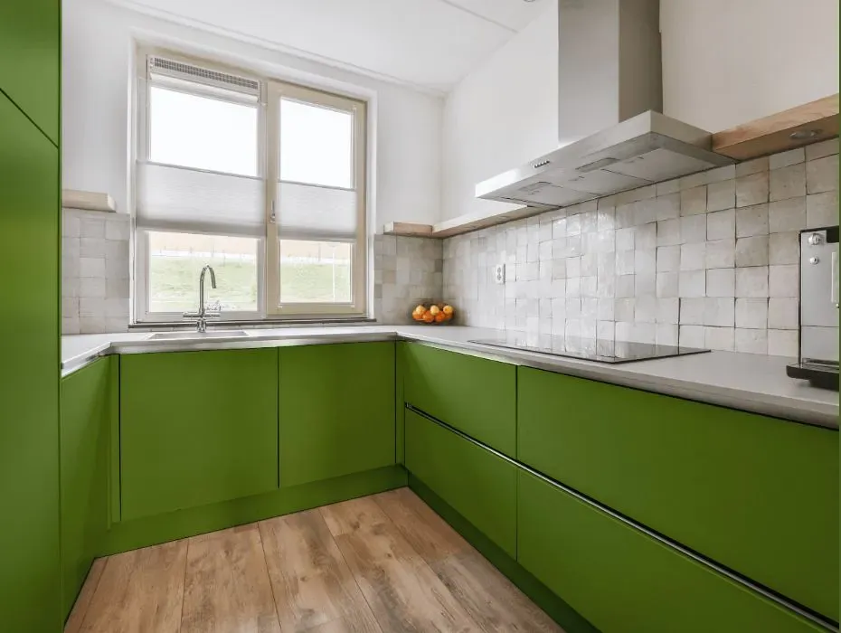 Behr Green Dynasty small kitchen cabinets