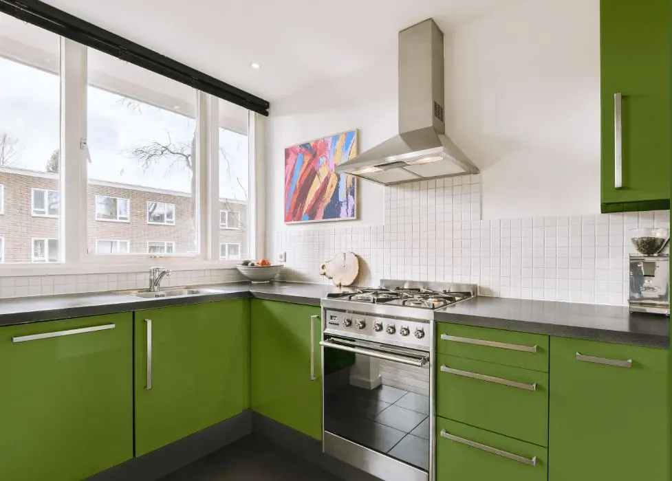 Behr Green Dynasty kitchen cabinets