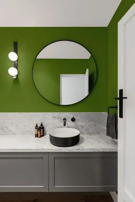 Behr Green Dynasty minimalist bathroom