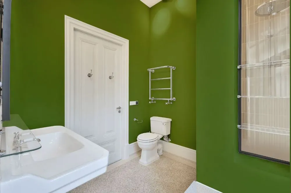 Behr Green Dynasty bathroom