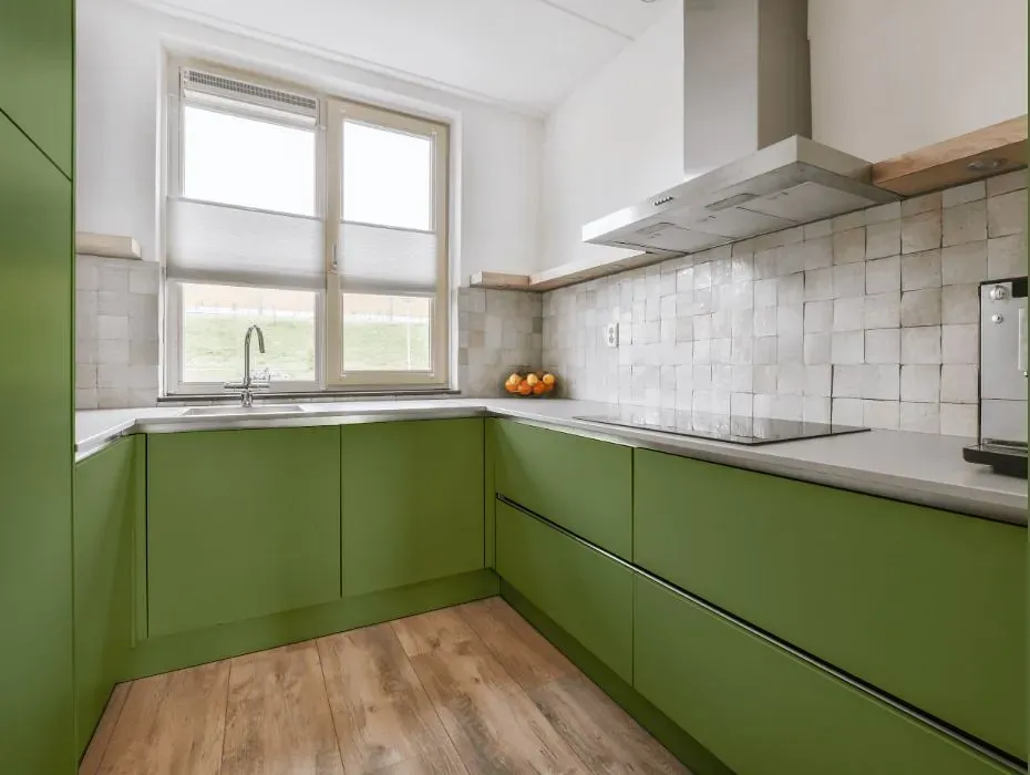 Behr Green Energy small kitchen cabinets