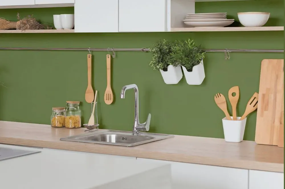 Behr Green Energy kitchen backsplash