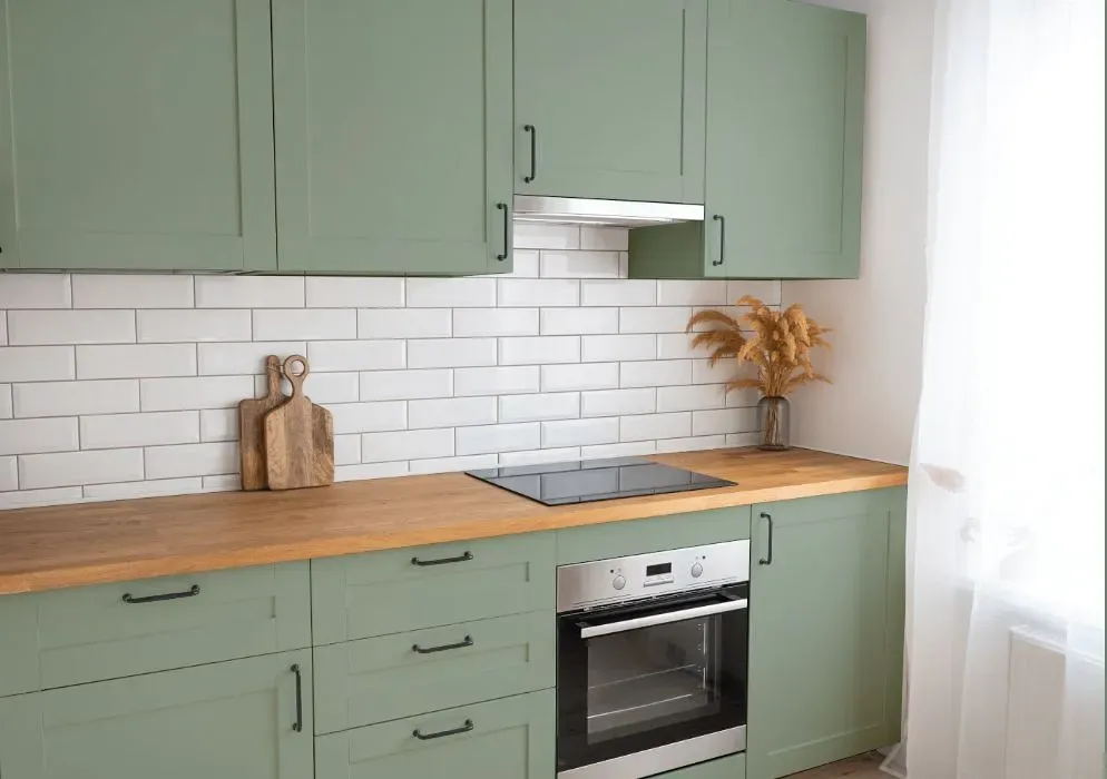 Behr Green Trellis kitchen cabinets