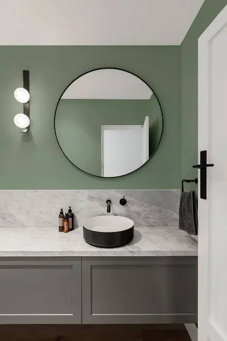 Behr Green Trellis minimalist bathroom
