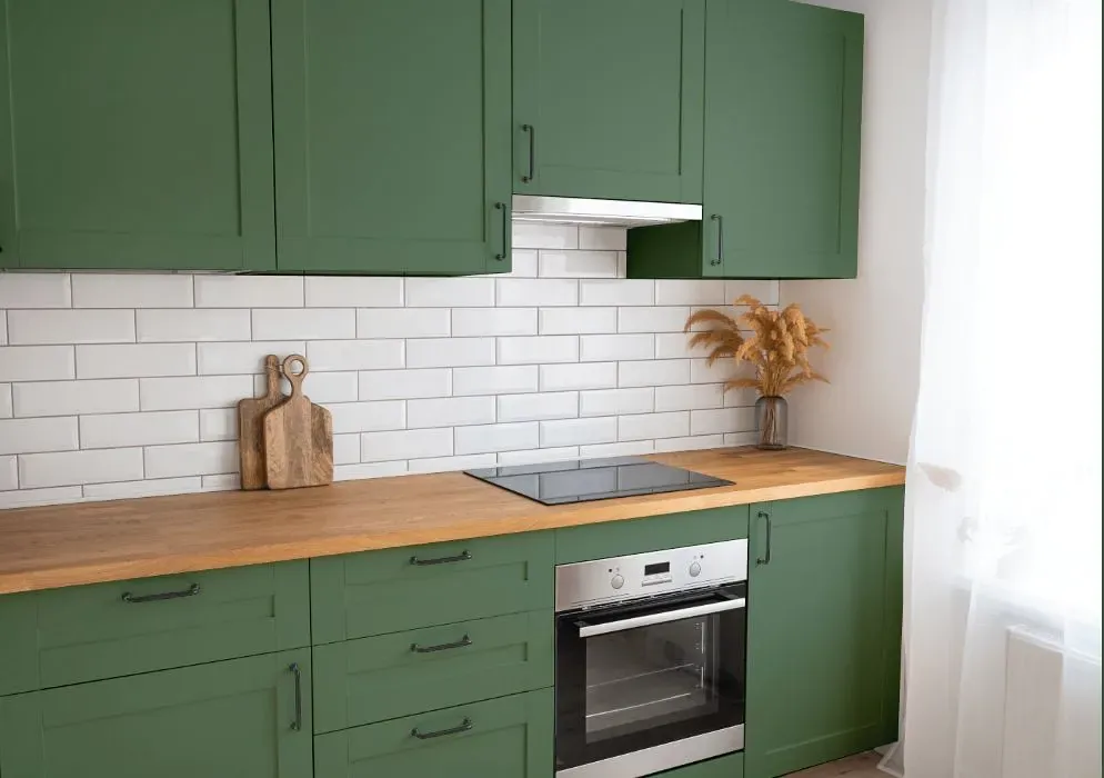 Behr Greener Pastures kitchen cabinets
