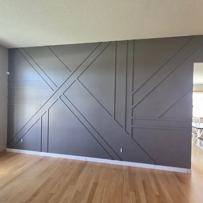 Behr Greyhound accent wall 