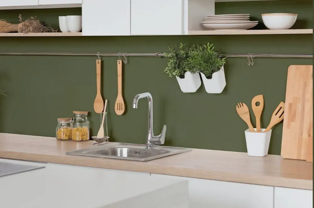 Behr Herb Cornucopia kitchen backsplash