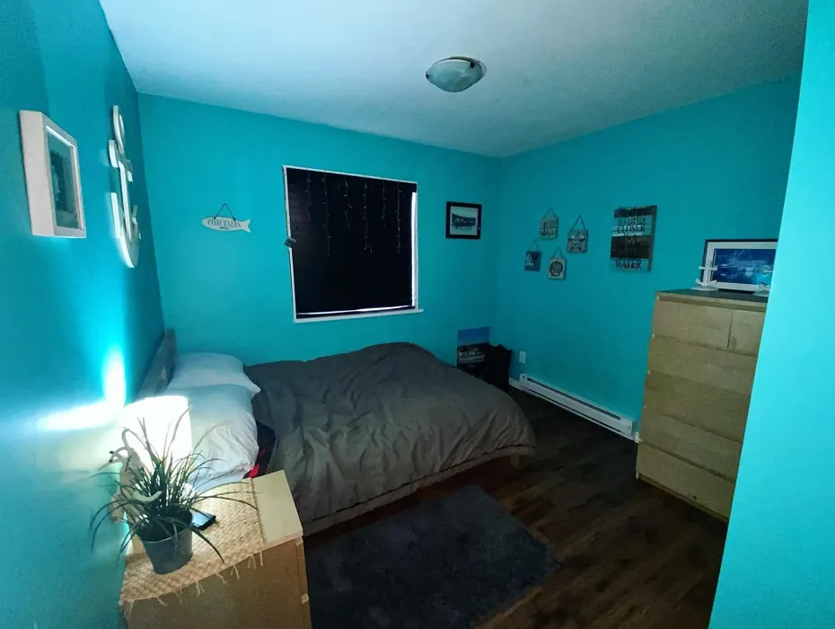 Behr Hidden Sea Glass bedroom color review