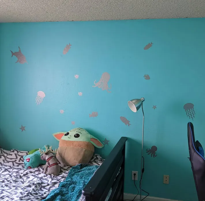 Behr Hidden Sea Glass kids' room color