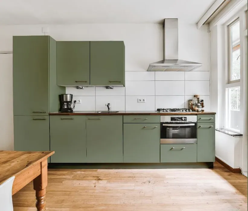 Behr Hillside Green kitchen cabinets